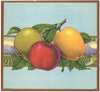 Stock No. 916 Apple Crate Label