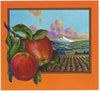 Stock No. 254 Apple Crate Label