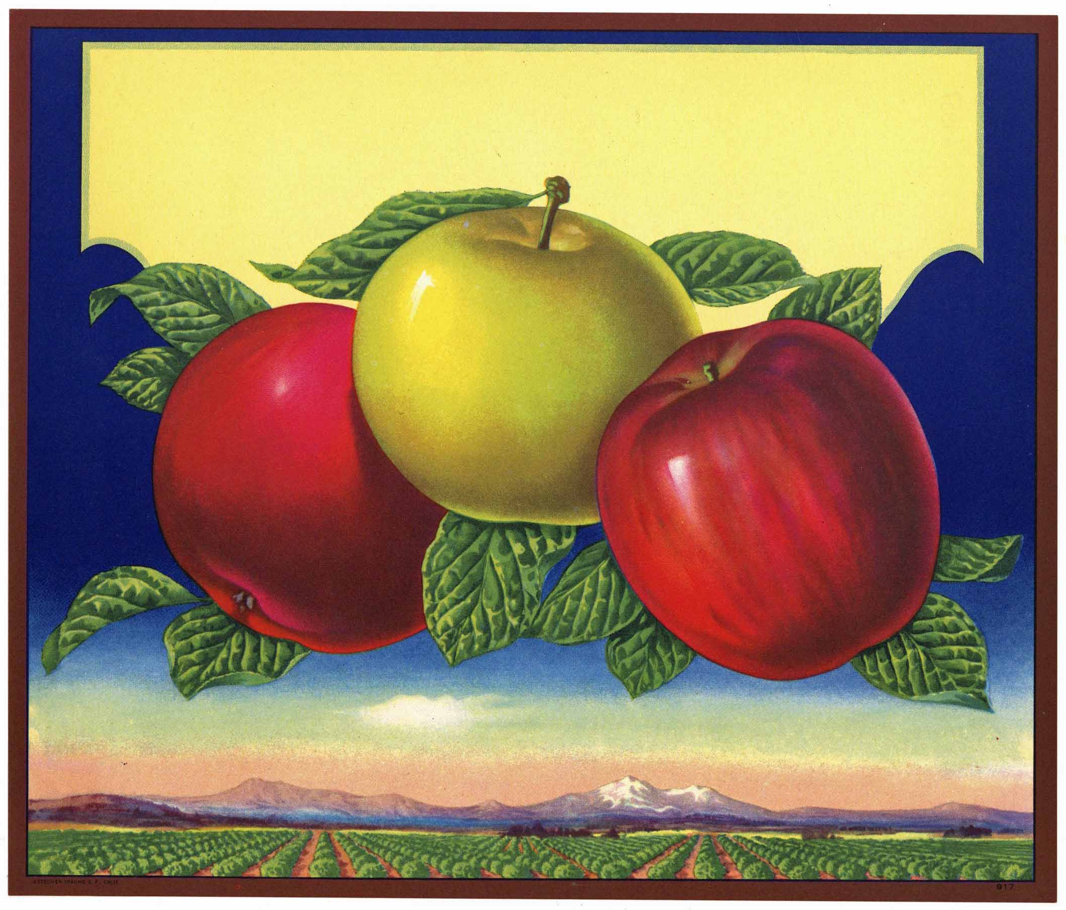 Stock No. 917 Apple Crate Label – thelabelman