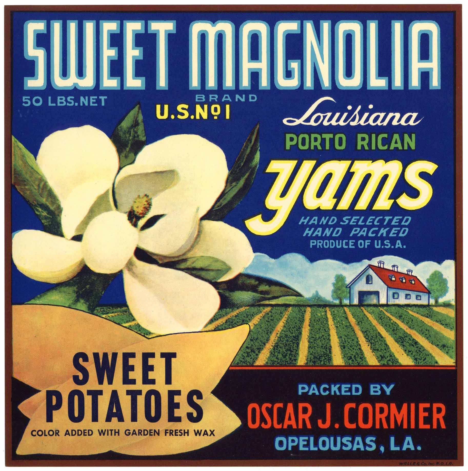 Sweet Magnolia Brand Vintage Opelousas, Louisianna Yam Crate Label