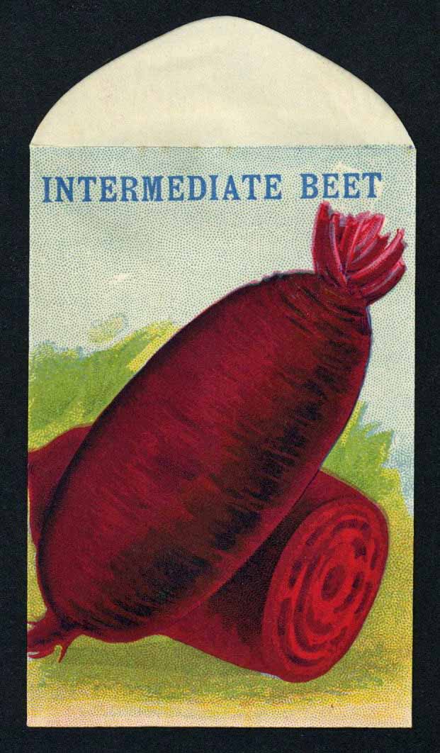 Intermediate Beet Antique Stock Seed Packet