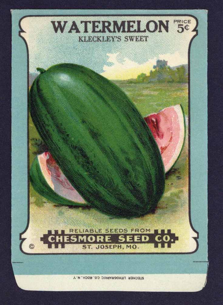 Watermelon Antique Chesmore Seed  Co. Packet