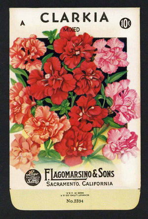 Clarkia Vintage Lagomarsino Seed Packet