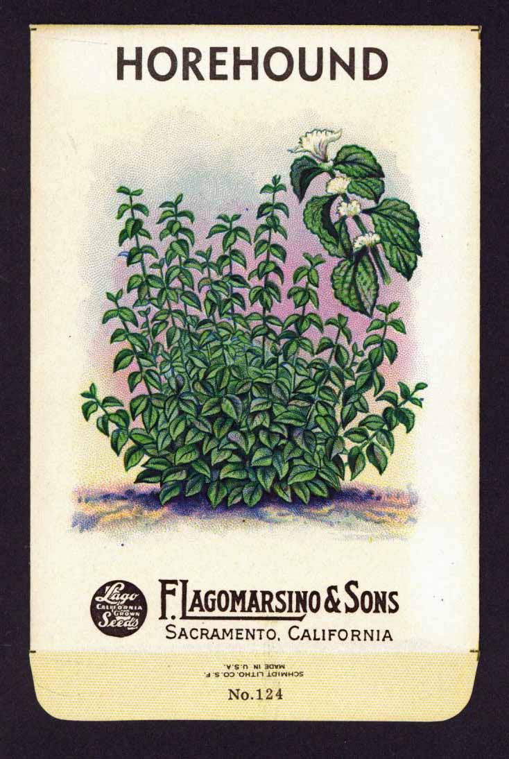 Horehound Vintage Lagomarsino Seed Packet