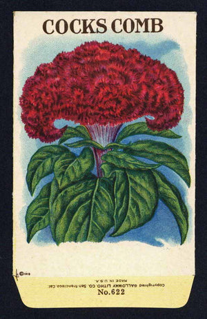 Cocks Comb Antique Stock Seed Packet