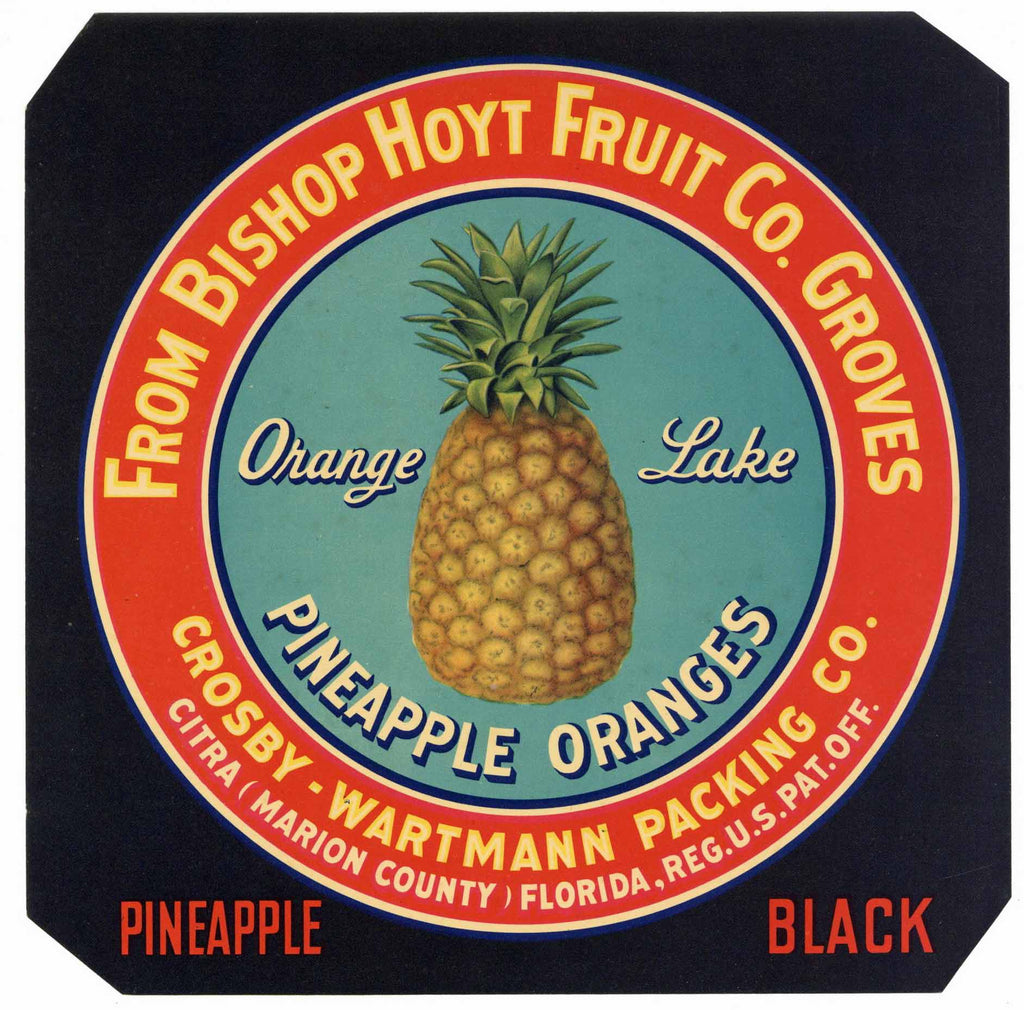Pineapple Oranges Brand Vintage Citra Florida Citrus Crate Label, black