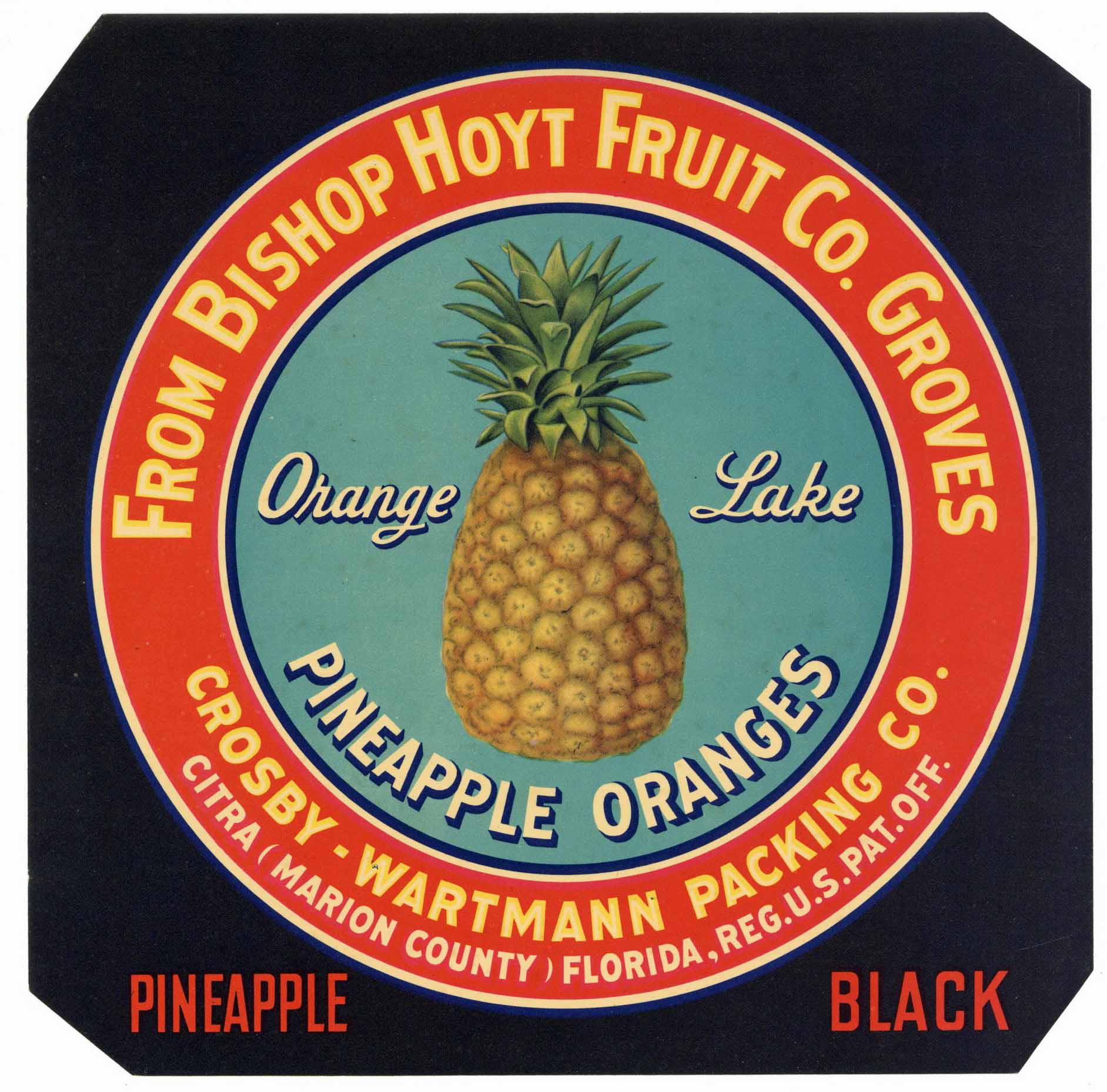 Pineapple Oranges Brand Vintage Citra Florida Citrus Crate Label, black