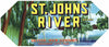 St Johns River Brand Vintage Crescent City Florida Citrus Crate Label