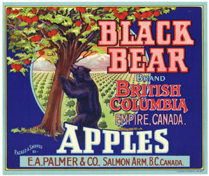 Black Bear Brand Vintage Canadian Apple Crate Label