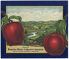 Wenatchee District Co-Operative Brand Vintage Washington Apple Crate Label