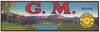 G. M. Brand Vintage Delano California Fruit Crate Label