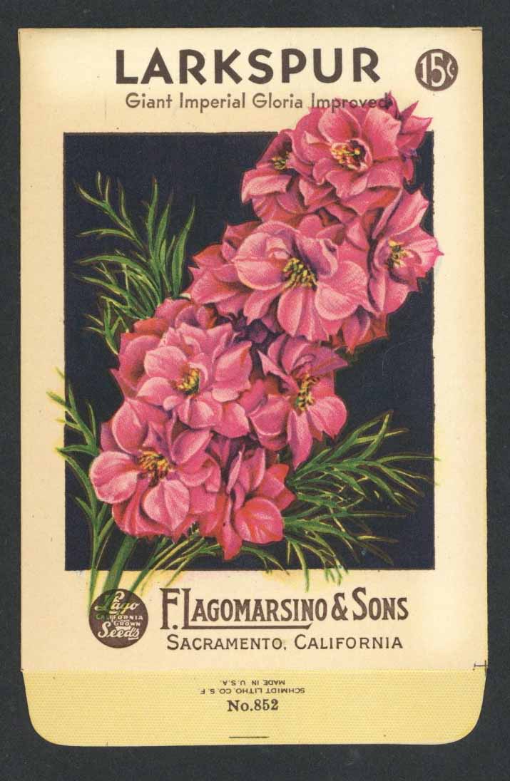Larkspur Vintage Lagomarsino Seed Packet, Gloria Improved