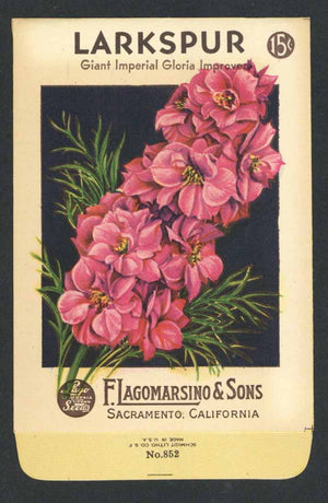 Larkspur Vintage Lagomarsino Seed Packet, Gloria Improved