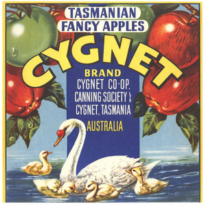 Cygnet Brand Tasmania Australia Apple Crate Label, sq