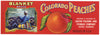 Blanket Brand Vintage Austin Colorado Peach Crate Label