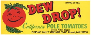 Dew Drop Brand Vintage Oxnard California Tomato Crate Label