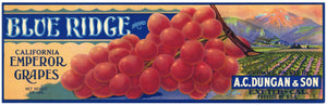 Blue Ridge Brand Vintage Exeter California Grape Crate Label, & Son