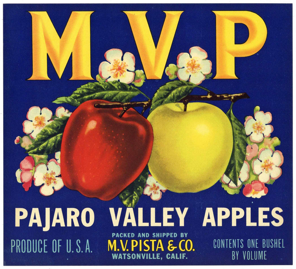 M V P Brand Vintage Watsonville California Apple Crate Label