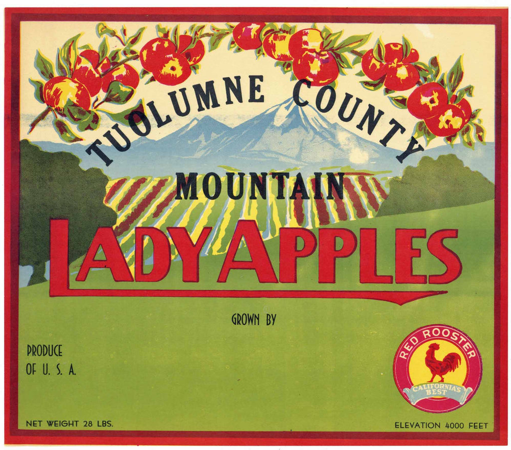 Lady Apples Brand Vintage Tuolumne County California Apple Crate Label, stock