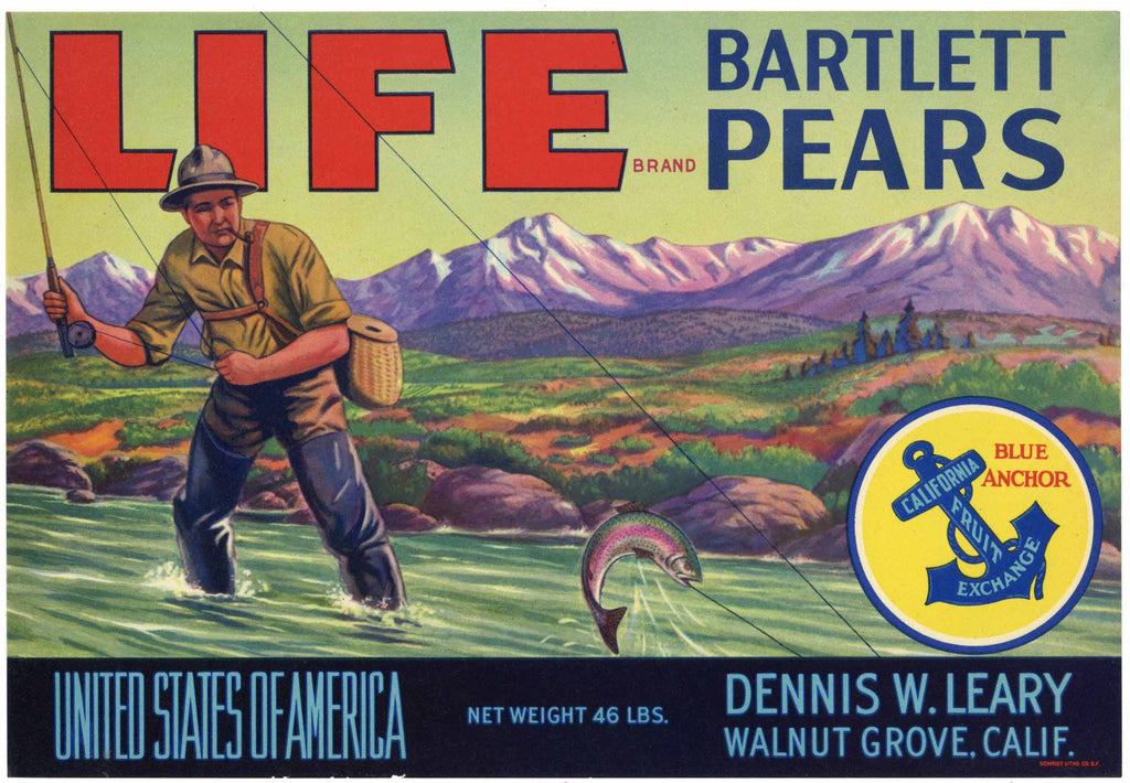 Life Brand Vintage Walnut Grove California Pear Crate Label, 46 lbs