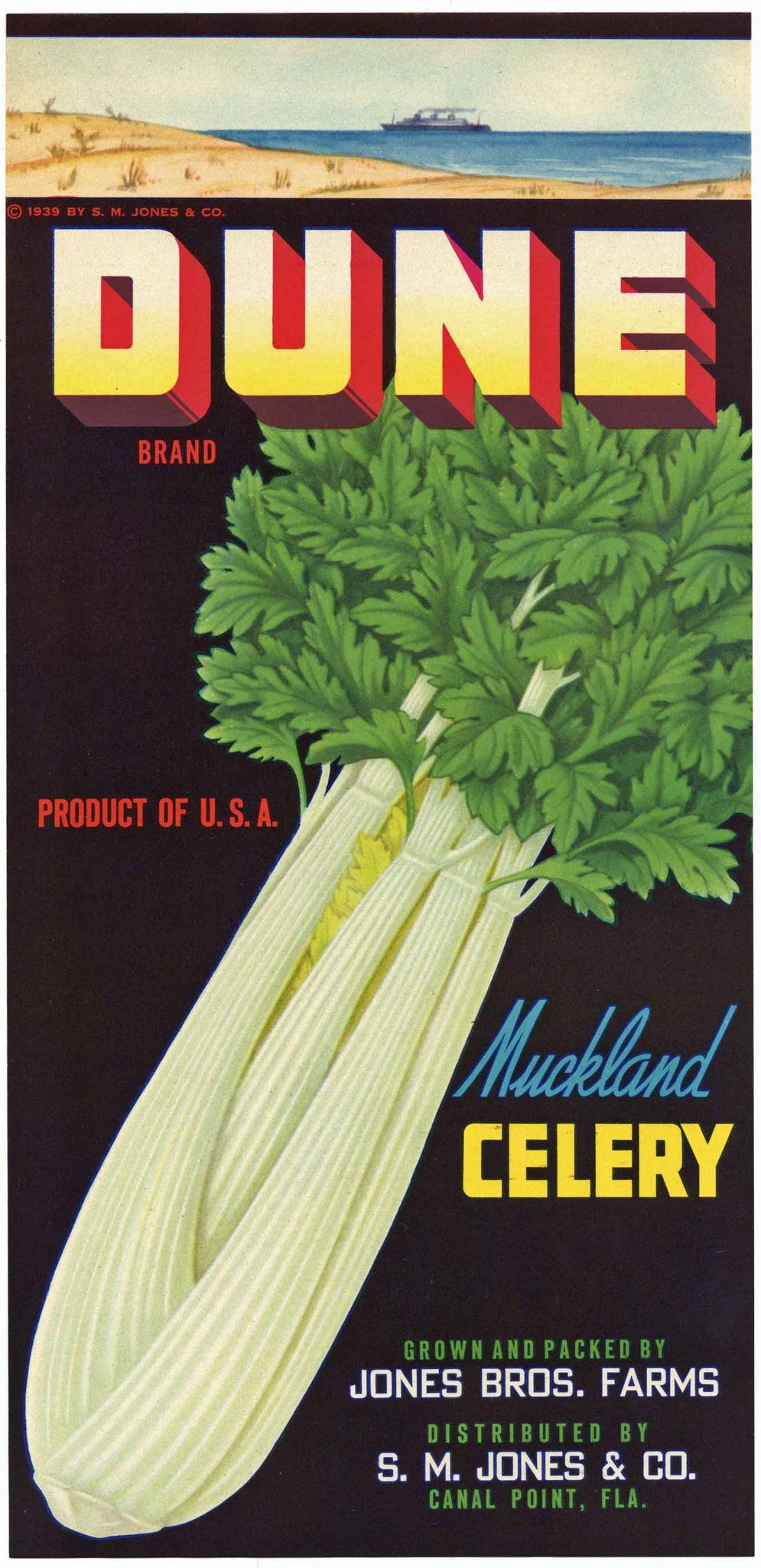 Dune Brand Vintage Canal Point Florida Celery Crate Label
