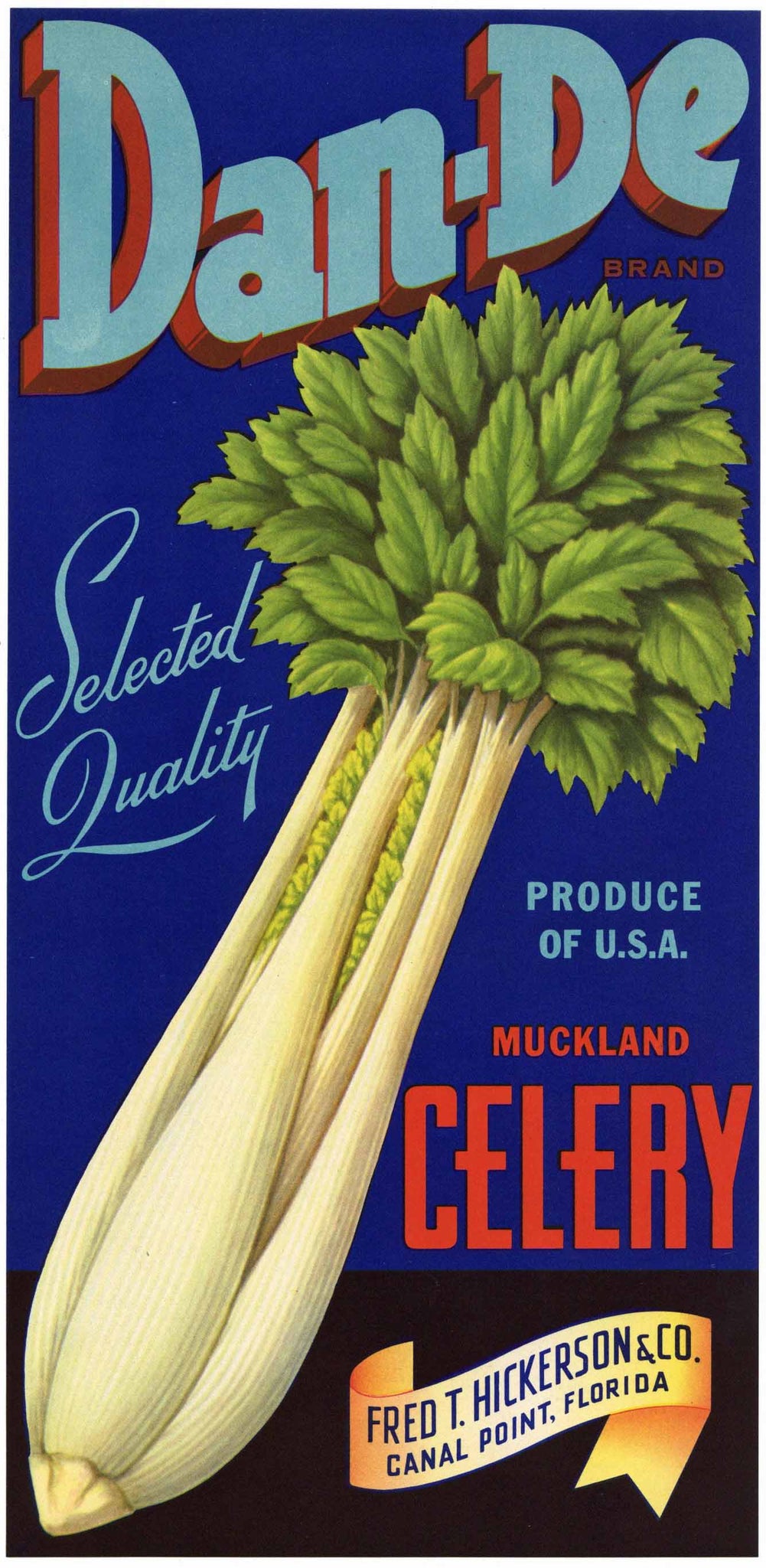 Dan-De Brand Vintage Canal Point Florida Celery Crate Label