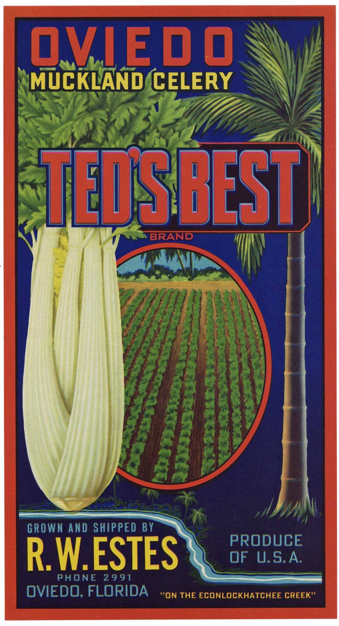 Ted's Best Brand Vintage Oviedo Florida Celery Crate Label