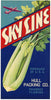 Sky Line Brand Vintage Pahokee Florida Celery Crate Label