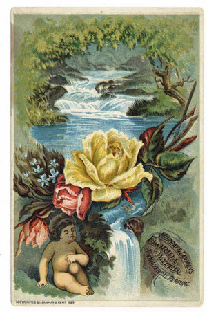 Victorian Trade Card, Murray & Lanman's  Perfume