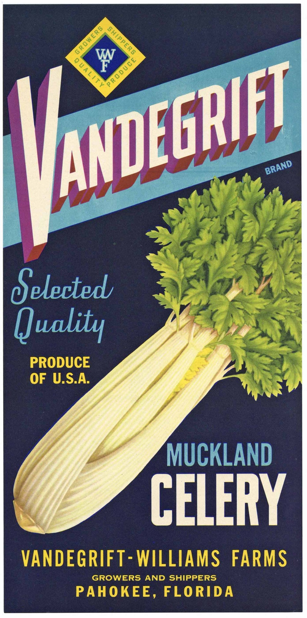 Vandegrift Brand Vintage Pahokee Florida Celery Crate Label