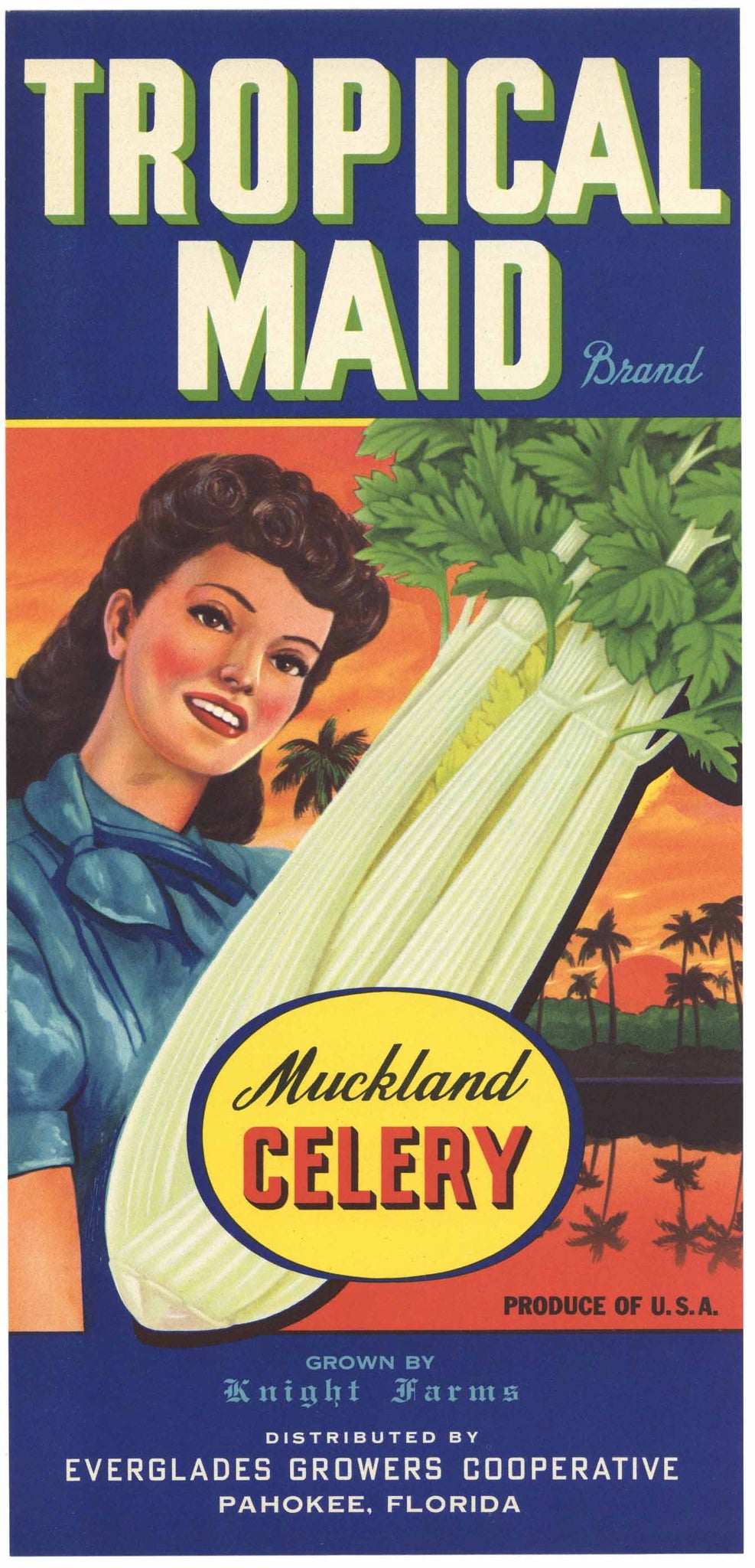 Tropical Maid Brand Vintage Florida Celery crate Label