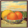 Stock #926 Vintage Florida Citrus Crate Label