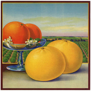 Stock #935 Vintage Florida Citrus Crate Label
