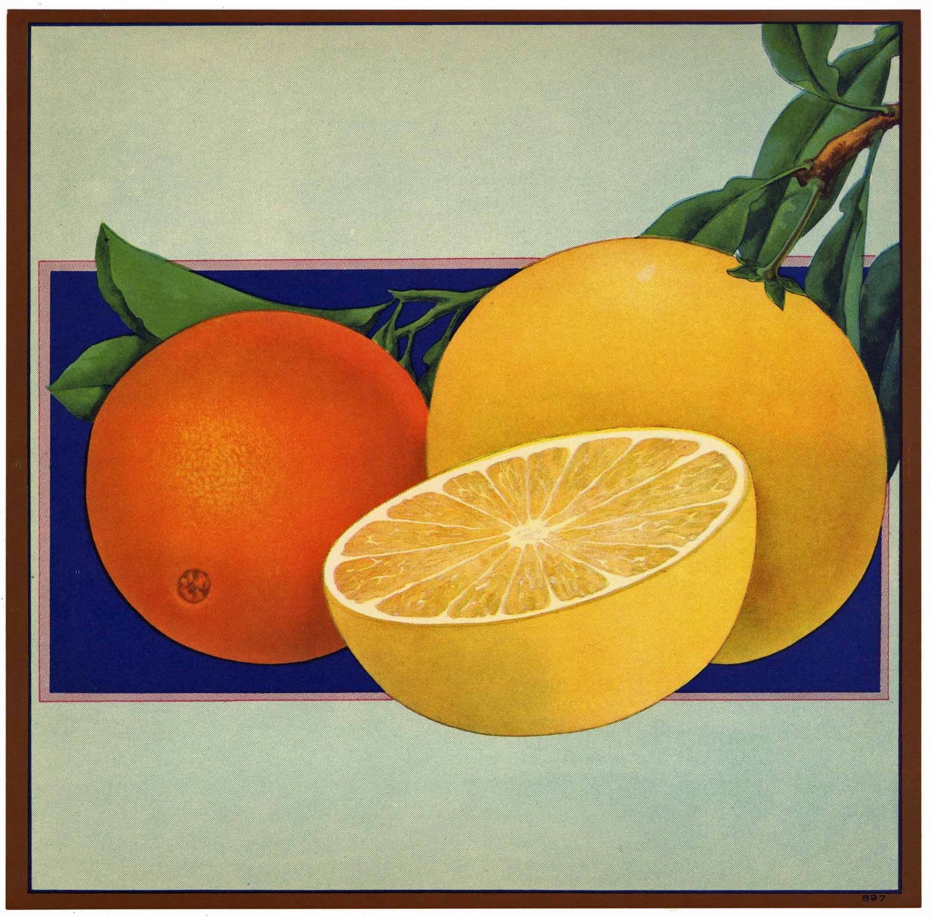 Stock #897 Vintage Florida Citrus Crate Label