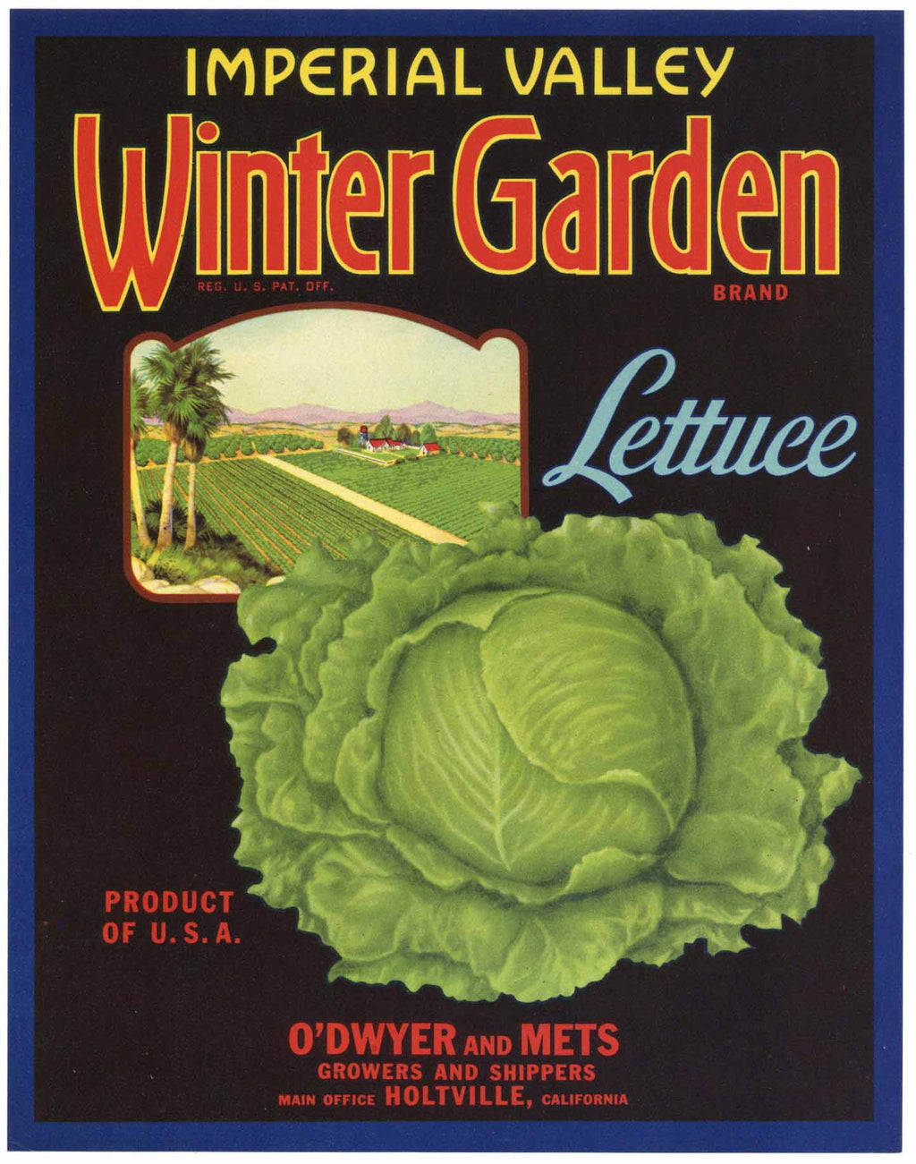 Winter Garden Brand Vintage Imperial Valley Vegetable Crate Label, lettuce, O'Dwyer