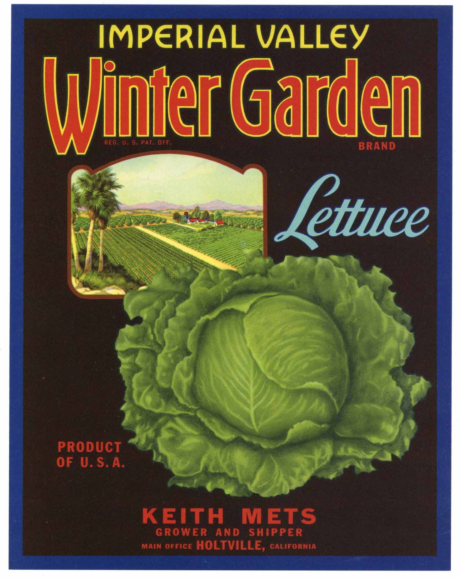 Winter Garden Brand Vintage Imperial Valley Vegetable Crate Label, lettuce, Mets
