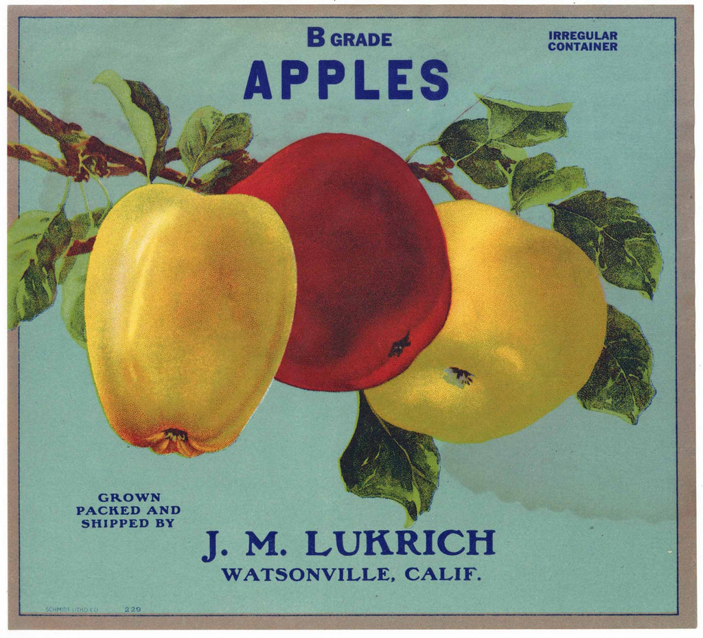 B Grade Apples Brand Vintage Watsonville Apple Crate Label