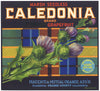 Caledonia Brand Vintage Placentia Grapefruit Crate Label