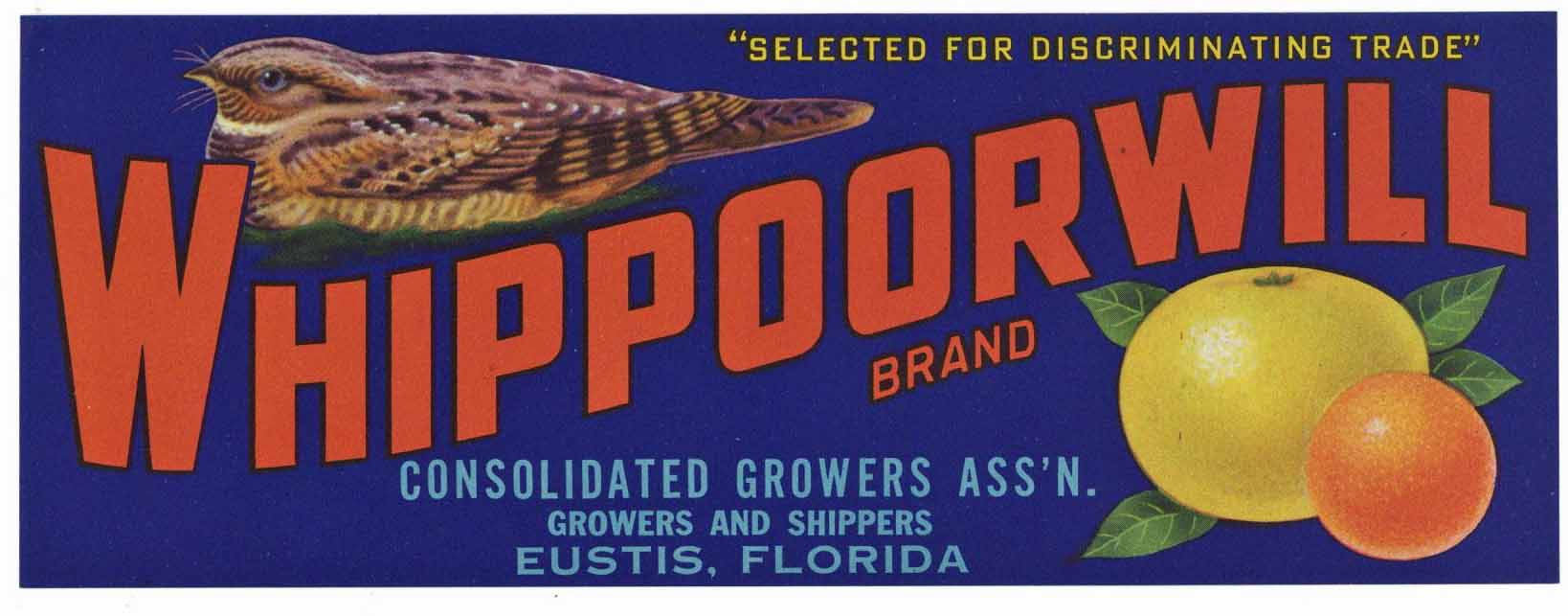 Whippoorwill Brand Vintage Eustis Florida Citrus Crate Label
