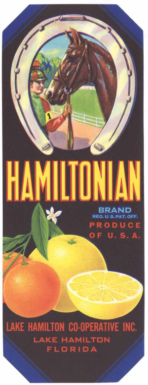Hamiltonian Brand Vintage Lake Hamilton Florida Citrus Crate Label