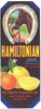 Hamiltonian Brand Vintage Lake Hamilton Florida Citrus Crate Label