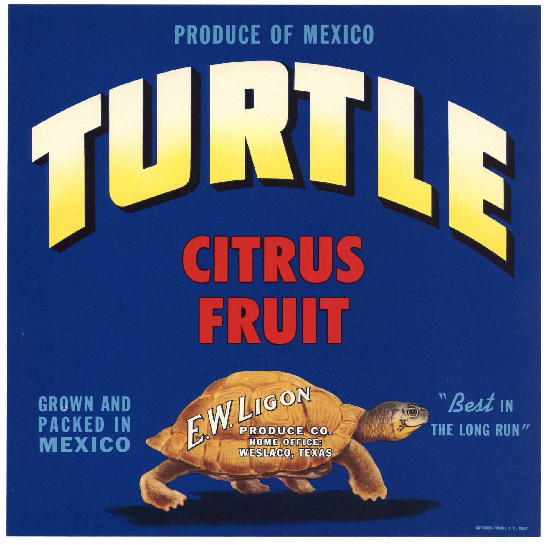 Turtle Brand Vintage Weslaco Texas Citrus Crate Label