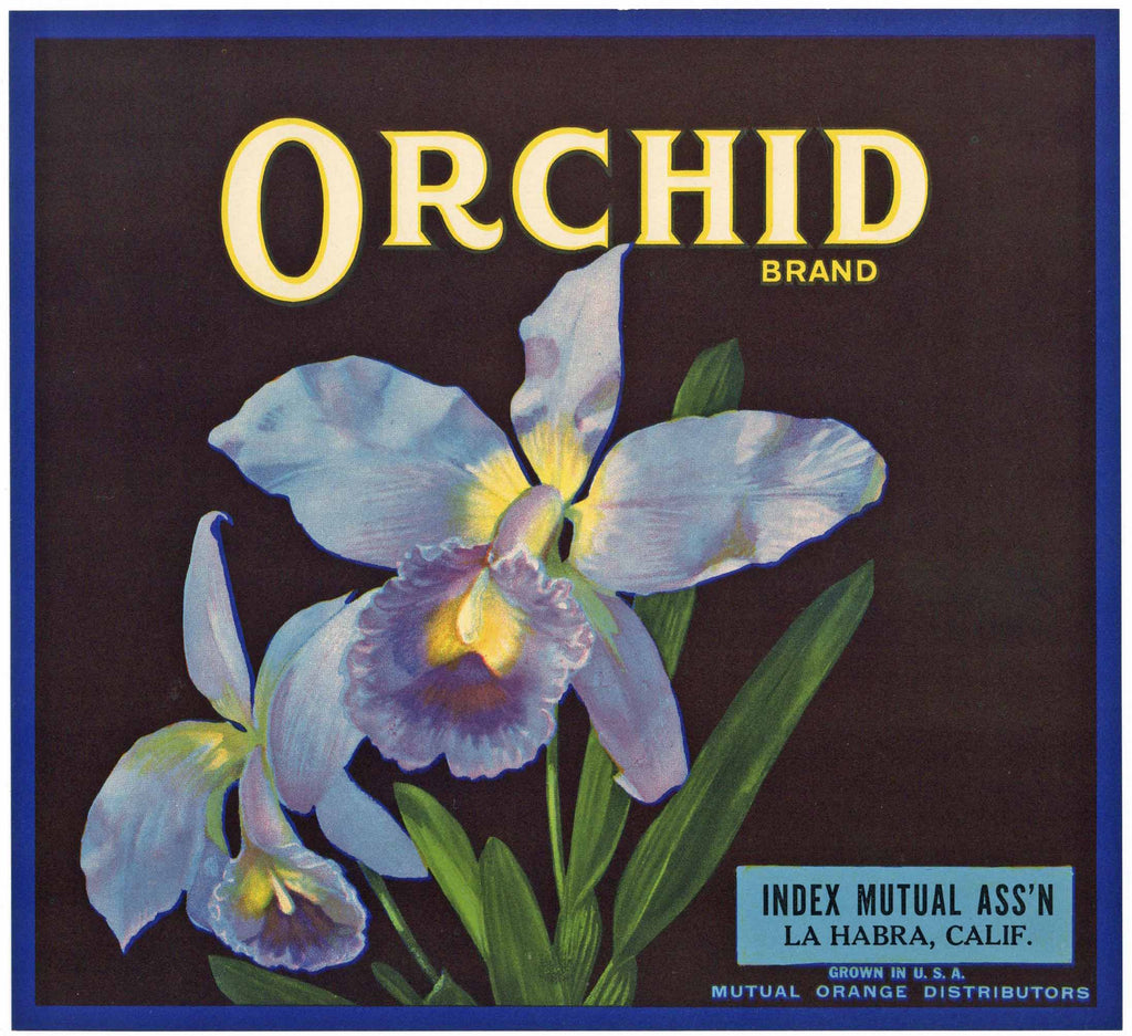 Orchid Brand Vintage La Habra Orange Crate Label