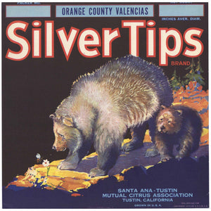 Silver Tips Brand Vintage Tustin California Orange Crate Label