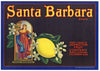 Santa Barbara Brand Vintage Lemon Crate Label