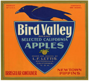 Bird Valley Brand Vintage Watsonville Apple Crate Label, Newtown Pippins