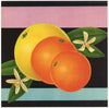 Stock #8028 Vintage Florida Citrus Crate Label