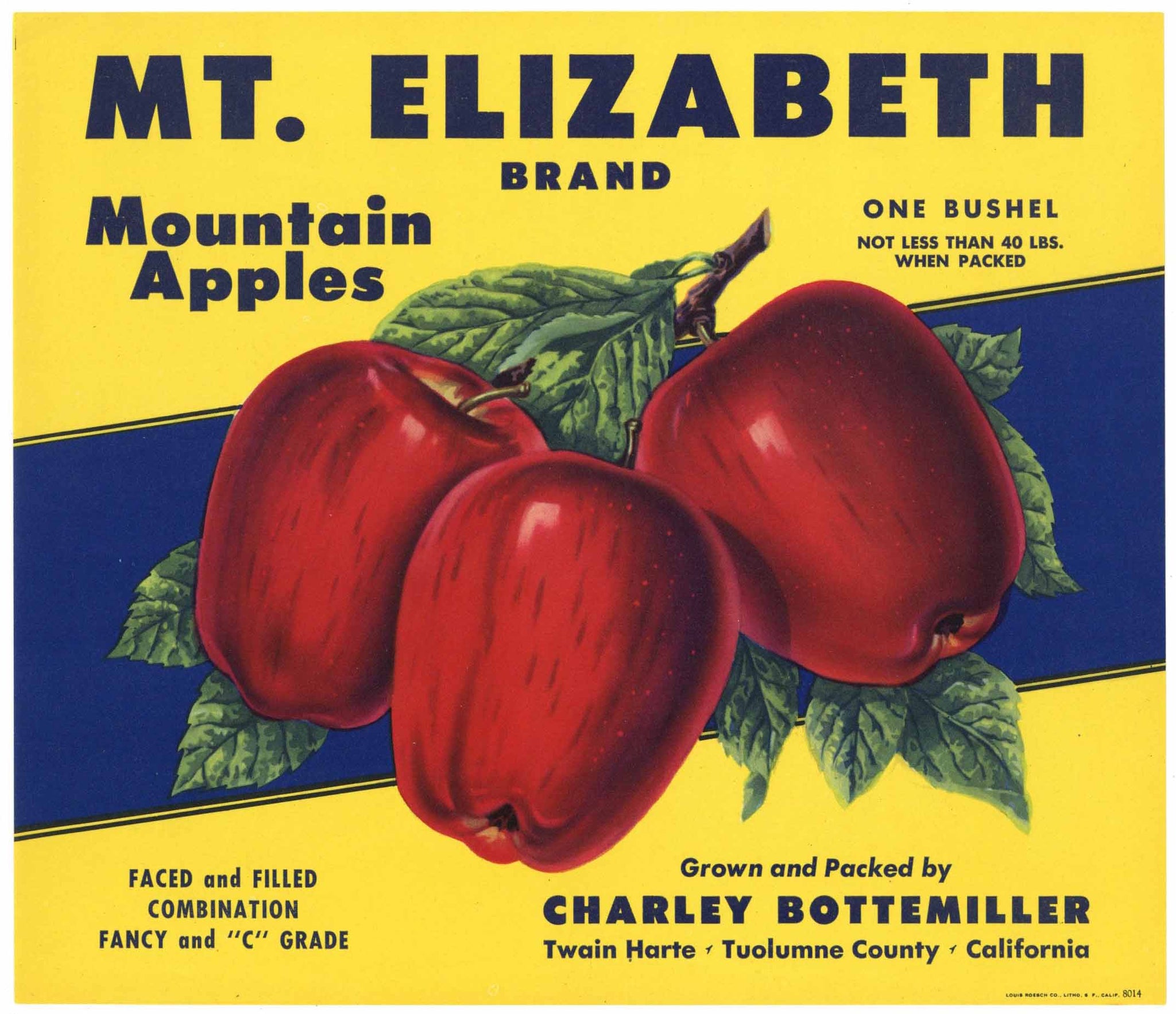 Mt. Elizabeth Brand Vintage Tuolumne County California Apple Crate Label