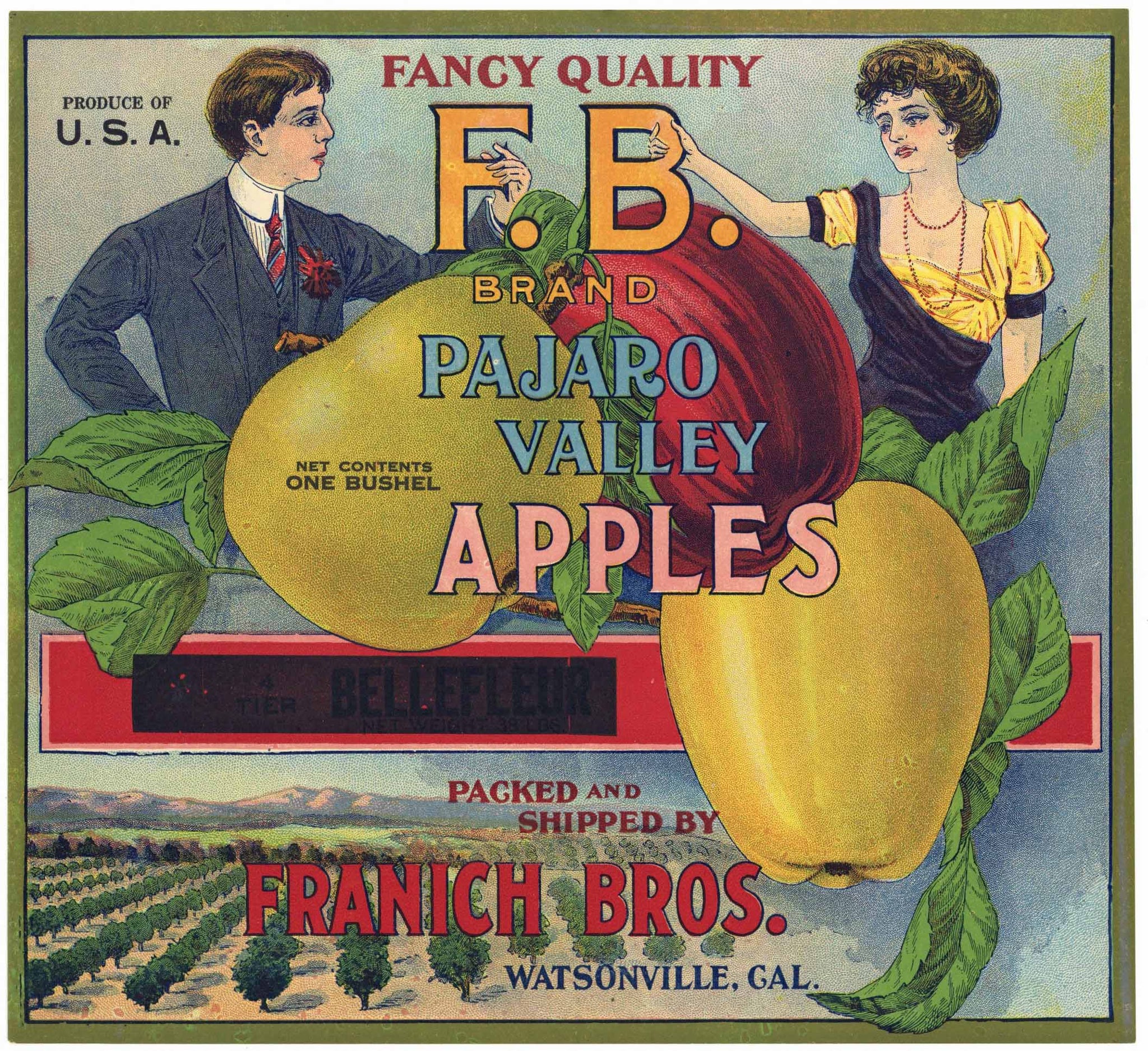 F. B. Brand Vintage Watsonville Apple Crate Label, t