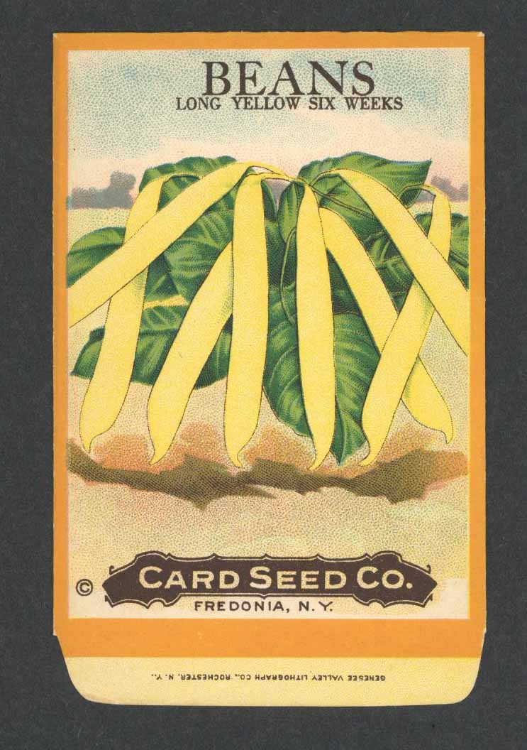 Beans Antique Card Seed Co. Packet, Yellow Six Weeks